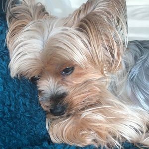 Meet your Posher, Kelly